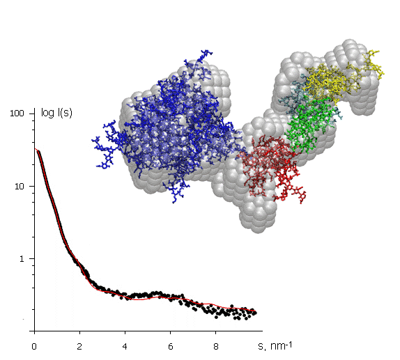 X-ray scattering curve and models